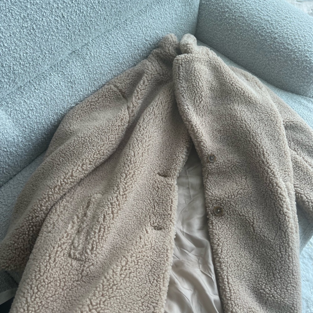 Aritzia fur coat